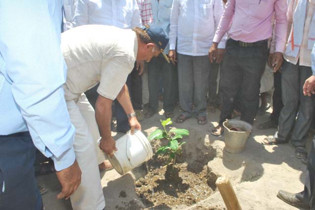 CSR - Distribution Of Mineral Mixture At Cattle Camp And Tree Plantation Drive At Drought Affected Parner Village, Beed District On 2nd May 2016123 - Image 6